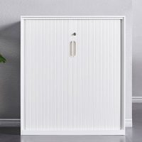 factory direct sales side by side door customized moisture proof movable cabinet for school